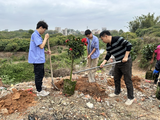 메이저 사이트