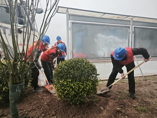 메이저 사이트