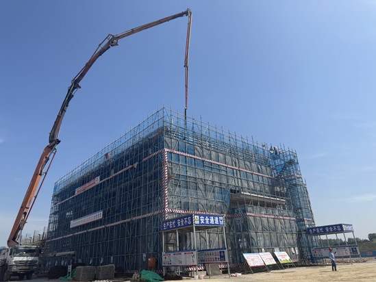 메이저 카지노 메이저 카지노 사이트