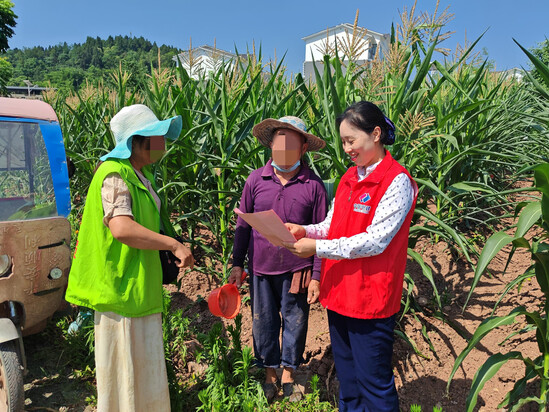 메이저 메이저 사이트 추천 추천